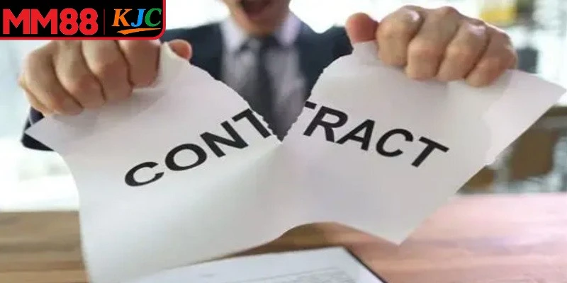 Nền tảng quy định không chịu trách nhiệm phát sinh từ việc sử dụng thông tin